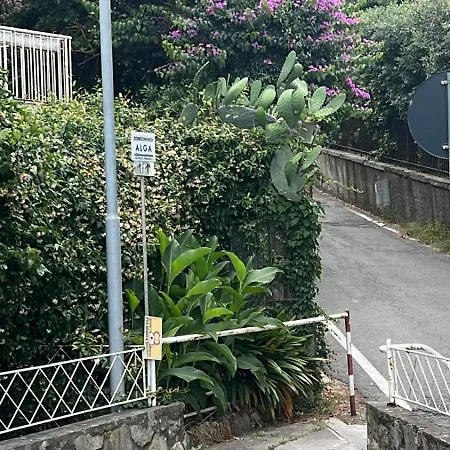 Welcome Riviera Primavera 1a Vista Mare- Spazioso E Comodo Appartamento-2 Bagni-wifi-aria Condizionata In Ogni Stanza-garage A Pagamento 15 Euro Al Giorno Appartamento Rapallo